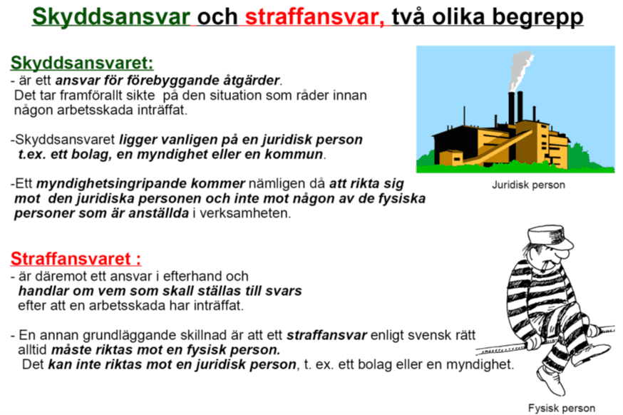 skyddsansvar